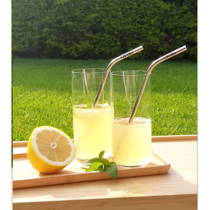 2-Pack Stainless Steel Cocktail Straws